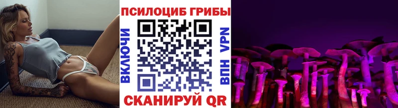 kraken зеркало  купить  сайты  Пойковский  Галлюциногенные грибы Cubensis 