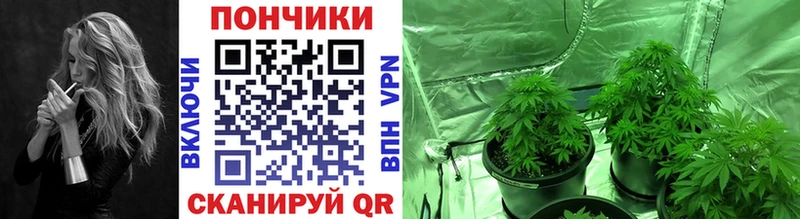Бошки Шишки план  Пойковский 